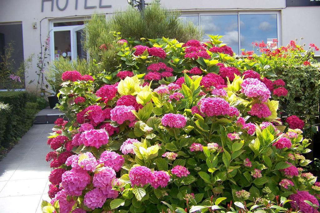 Hotel Bal Tournehem Exterior foto